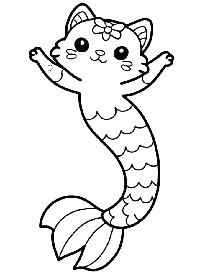 Chat Sirène 31